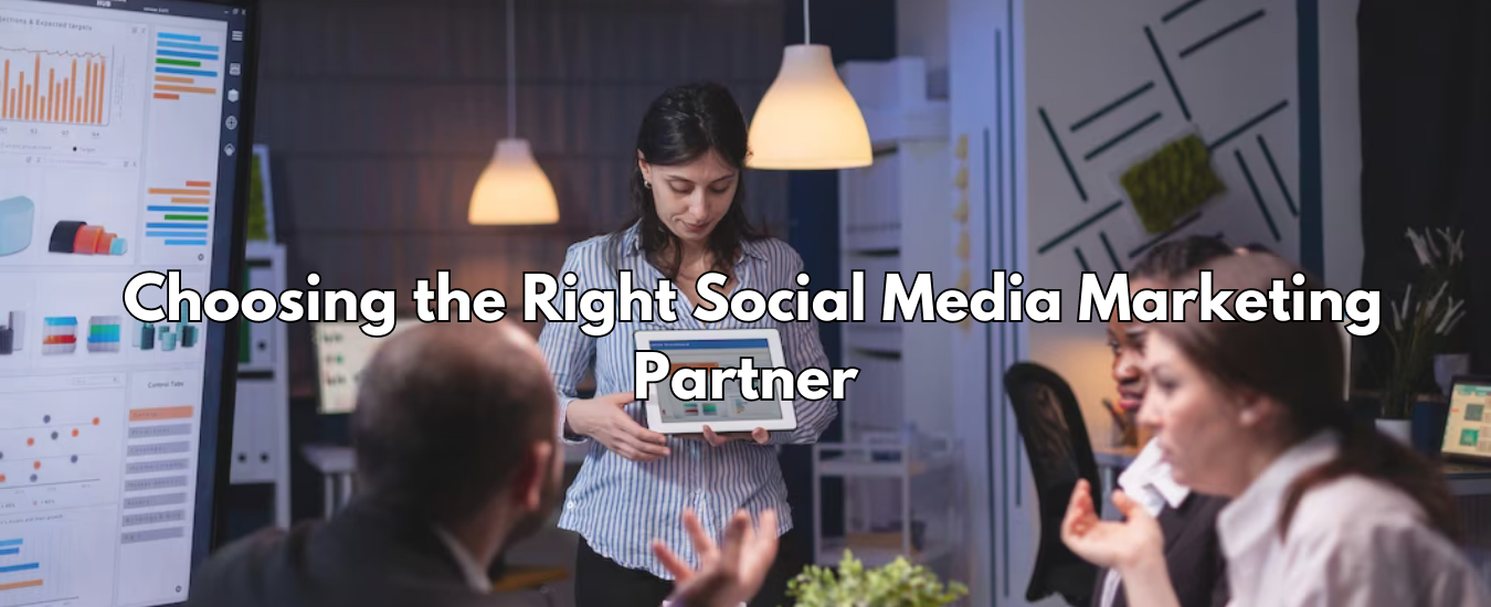 ZIIM - Best Social Media Marketing Company in Chandigarh