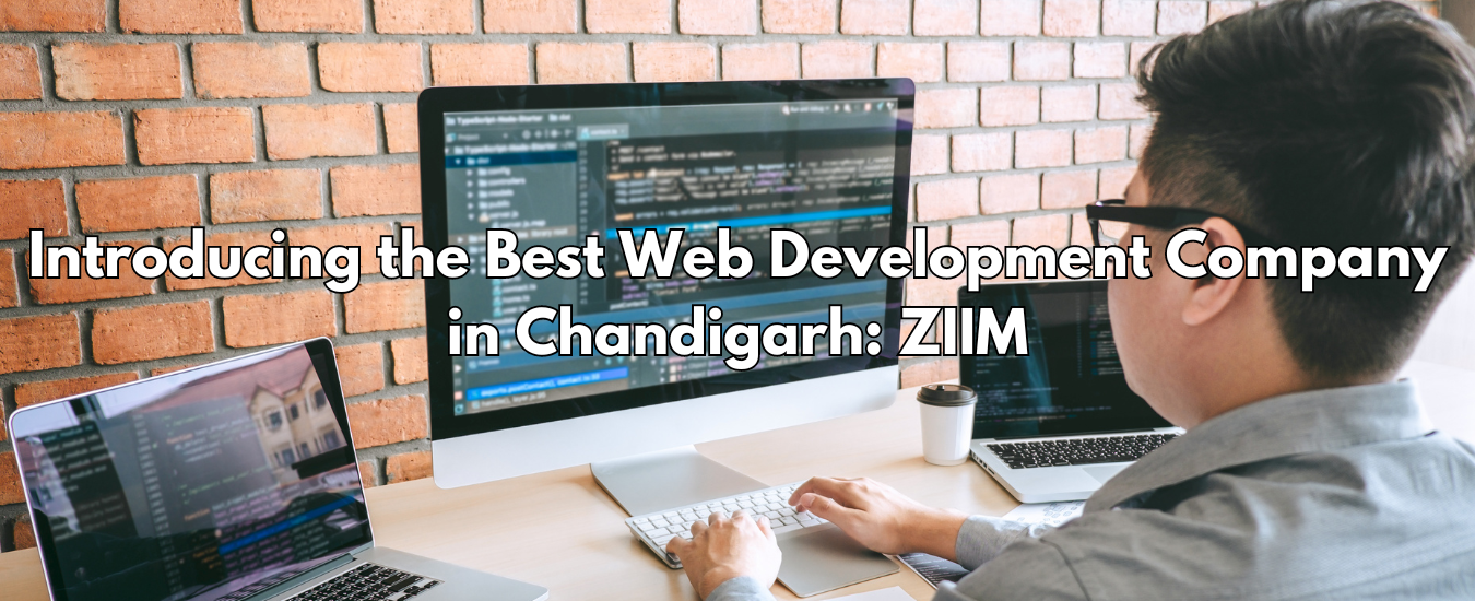 Introducing the Best Web Development Company in Chandigarh: ZIIM